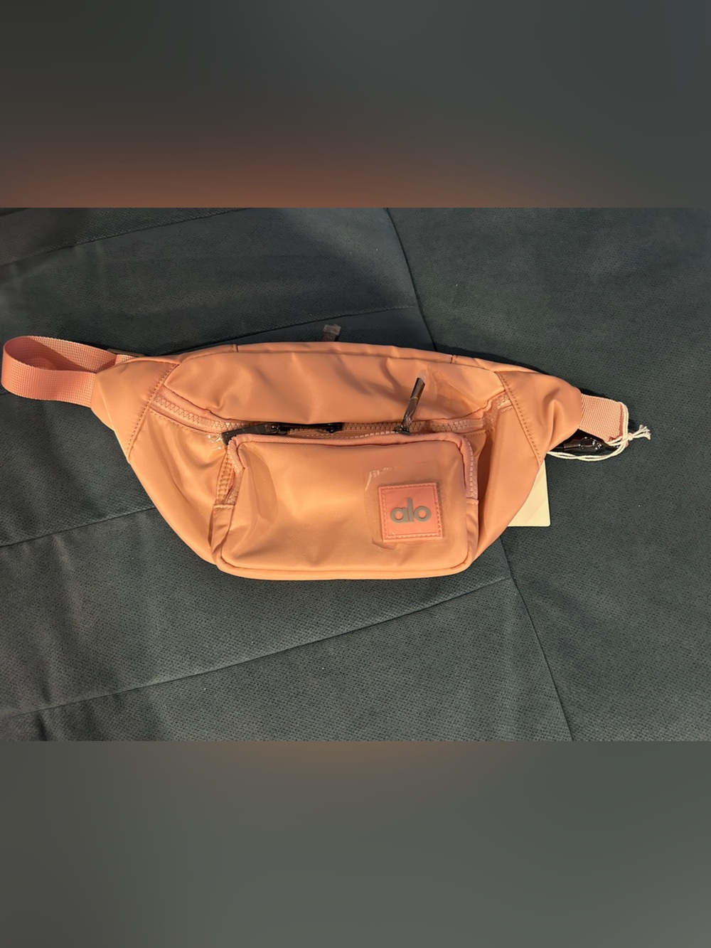 Pink Fanny pack BNWT